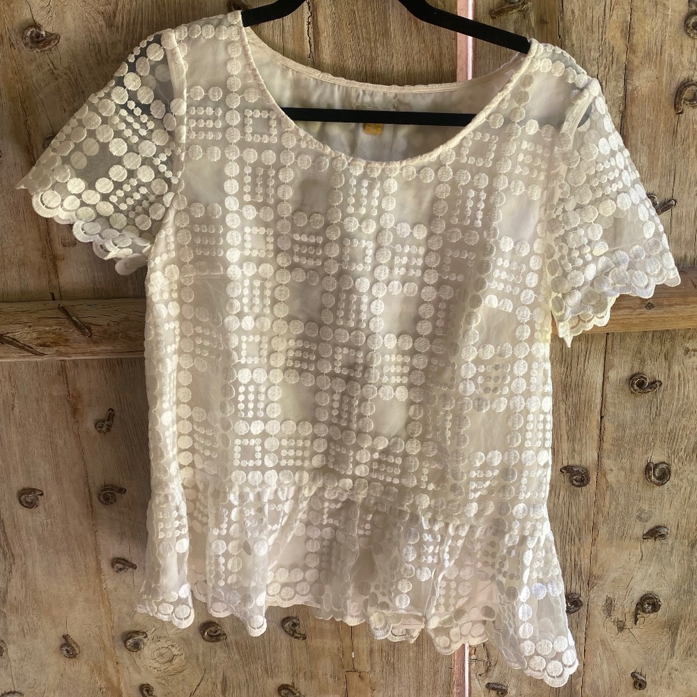 Lace top with sheer sleeves